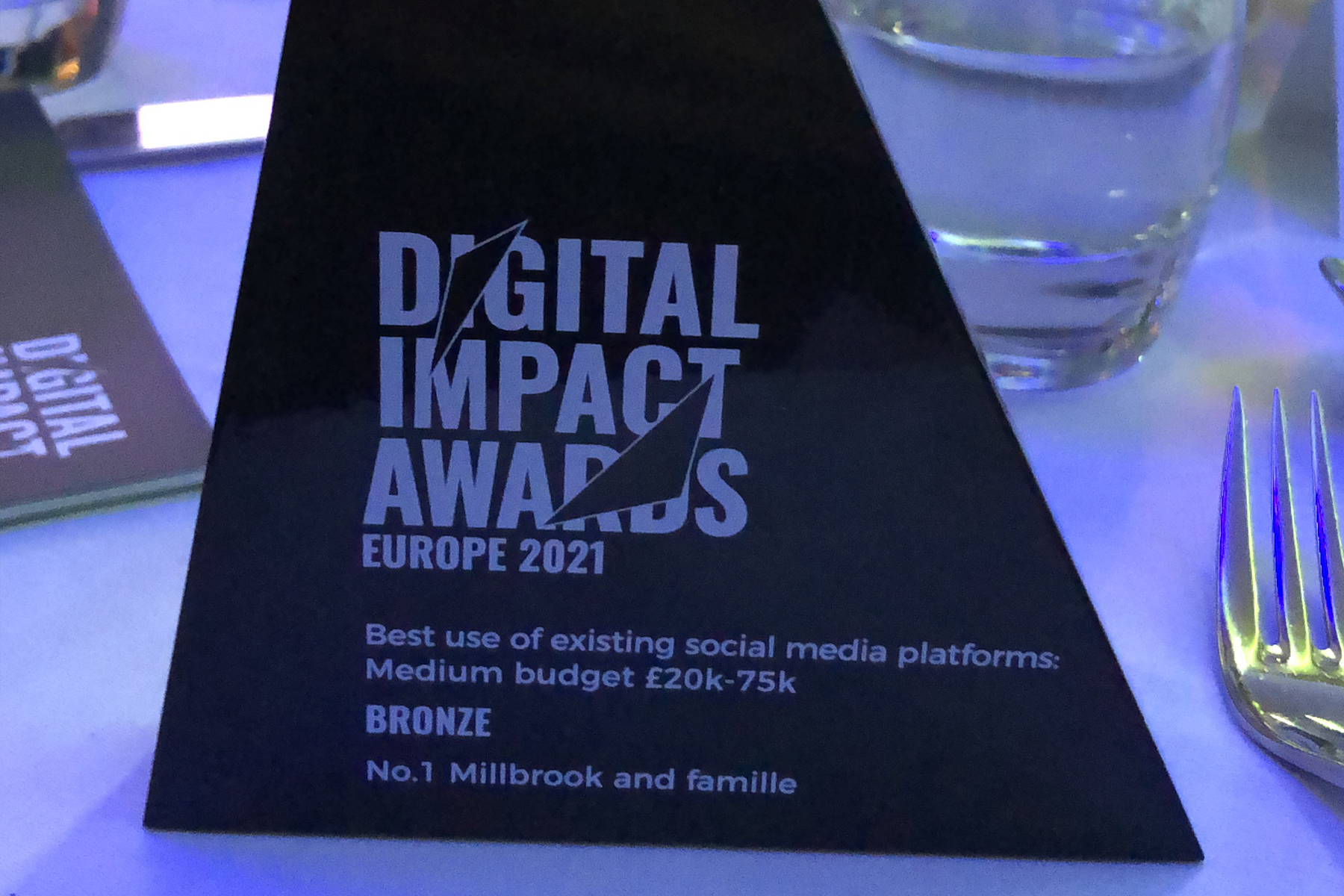 Featured image for “It’s a win for famille and No.1 Millbrook in the Digital Impact Awards”
