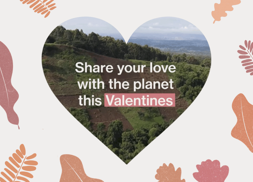 Share your love with the planet this valentines
