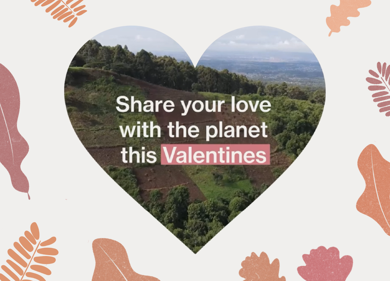 Share your love with the planet this Valentines.