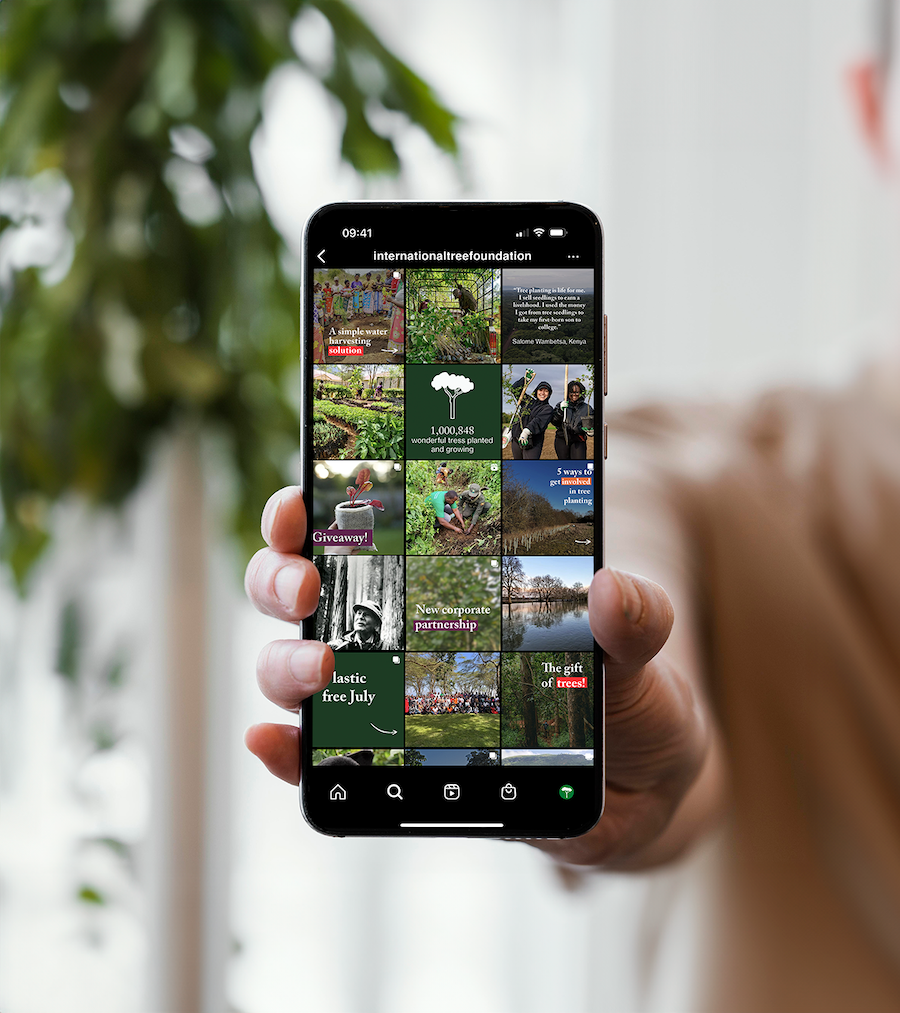 International Tree Foundation's Instagram profile on a mobile phone