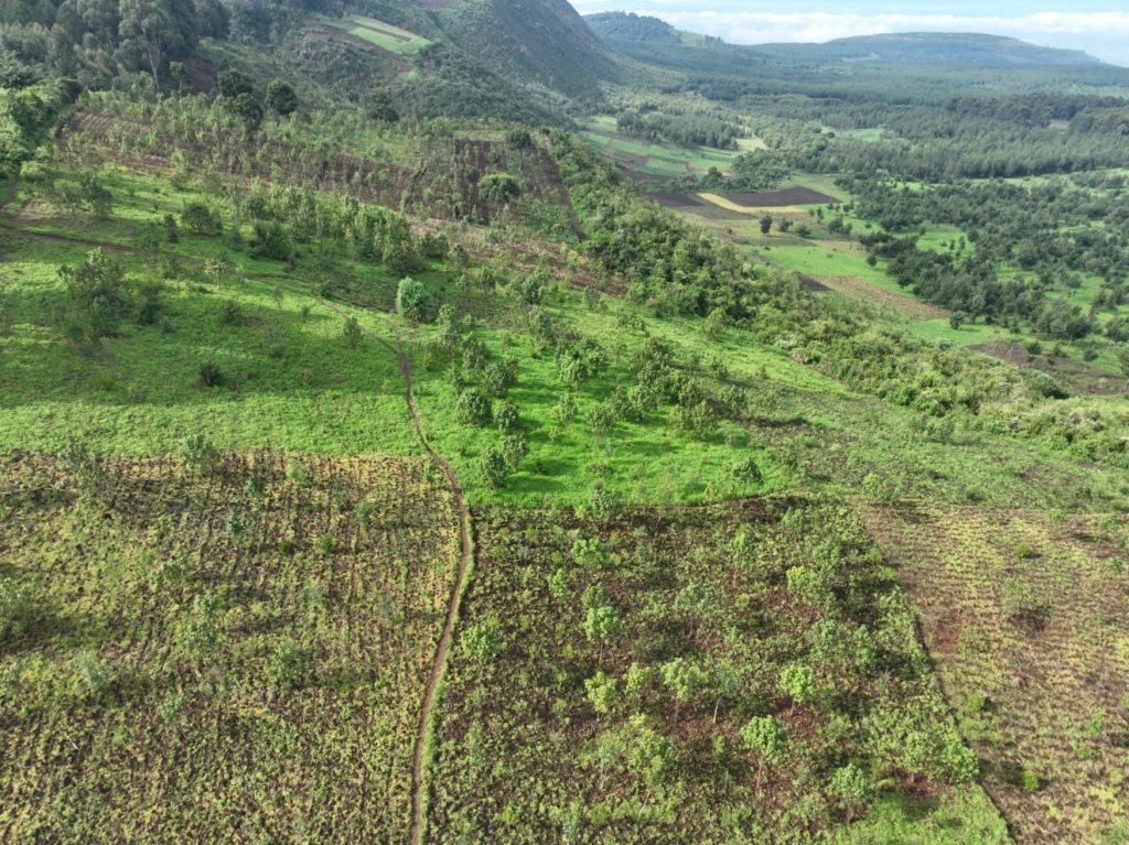 environmental awareness campaigns