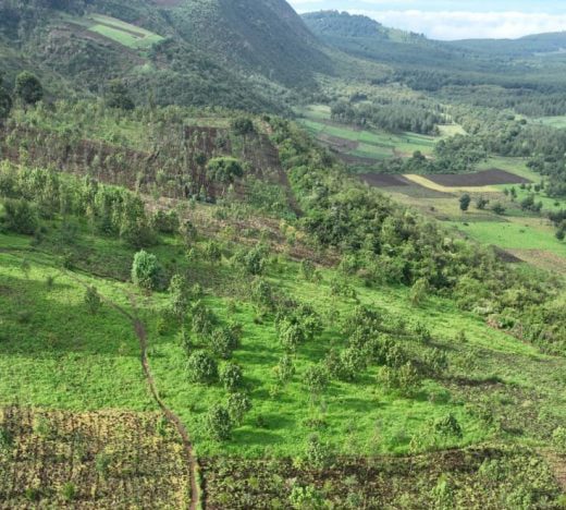 Dundori2-rcw80g5ixglnm6qq0q0poa66ihb8vi97ry57i4dys81